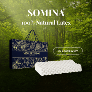 Somina latex pillow