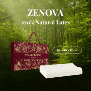ZENOVA